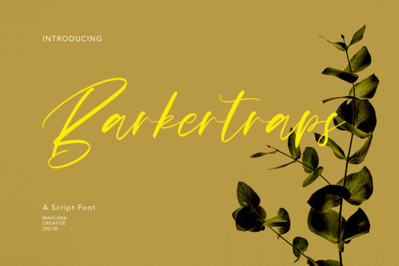 Barkertraps: The Elegant Script Font for Handmade Brands