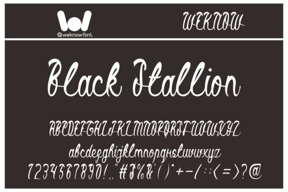 Black Stallion: A Bold Script for Modern Brand Identity