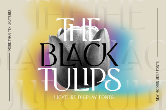 Black Tulip: A Refined Serif Font for Small Business Branding