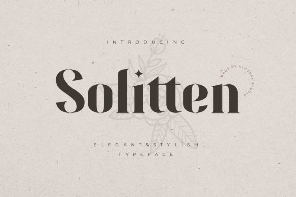 Building Brand Identity with the Solitten Serif Typeface