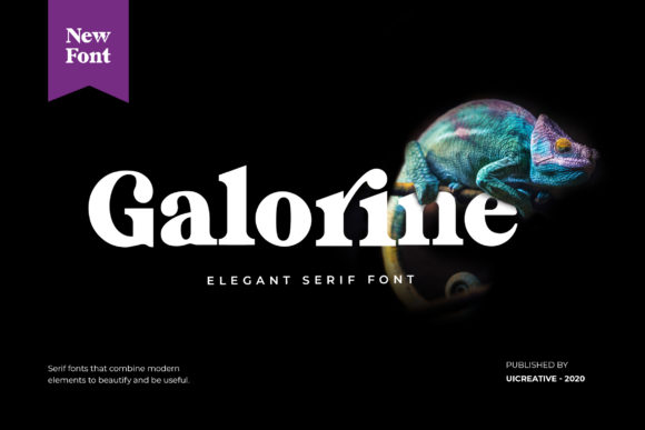 Galorine: The Serif Font That Elevates Small Business Branding