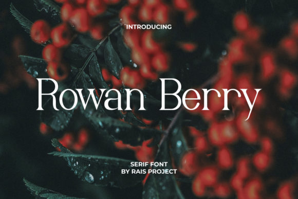 Rowan Berry: The Elegant Serif Font for Scroll-Stopping Designs