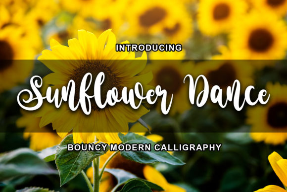 Sunflower Dance Font: Elegant Script for Craft Creators